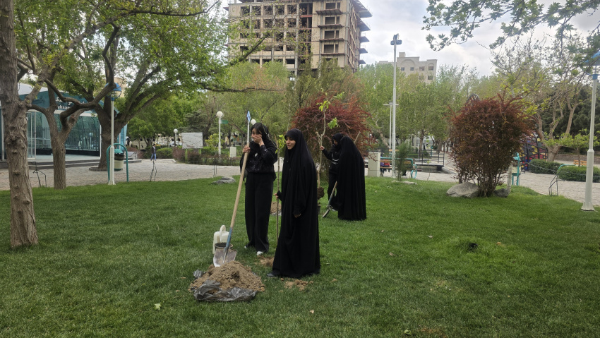 تولید محتوای درختکاری به یاد شهیدان میناب به زبان عربی